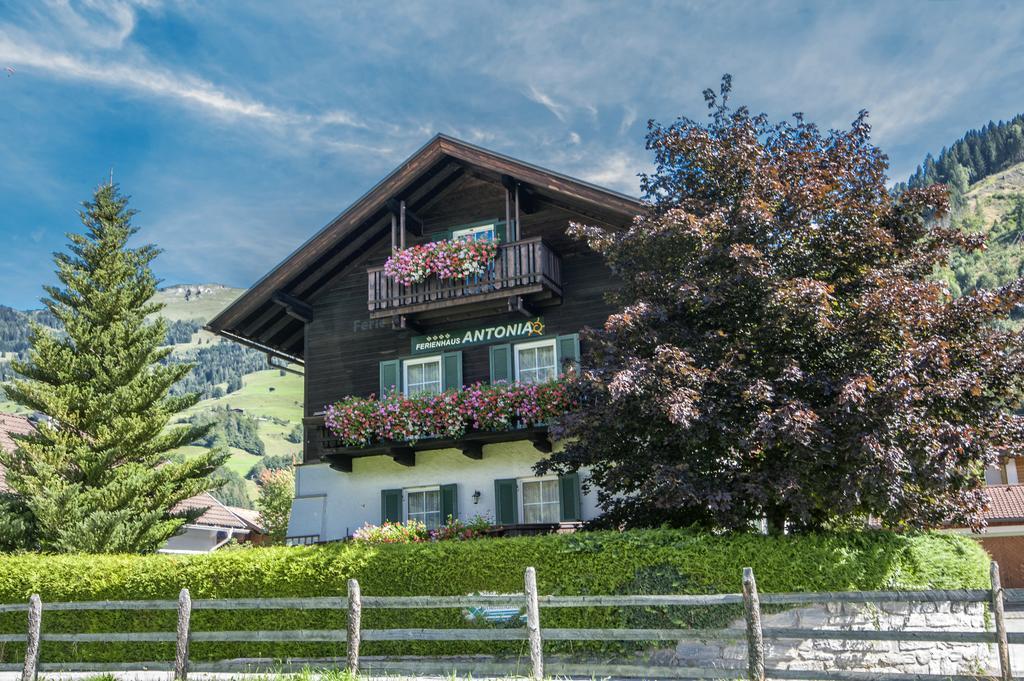 Ferienhaus Antonia Dorfgastein Dış mekan fotoğraf